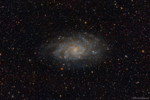 M33