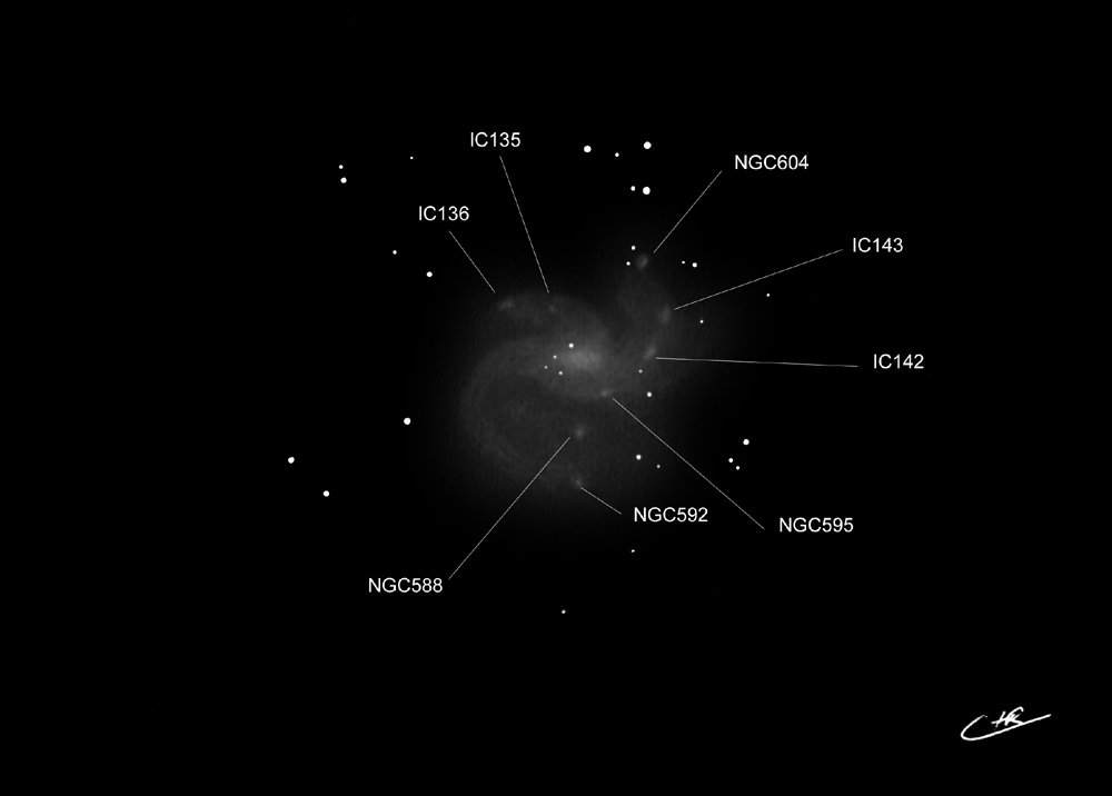 M33