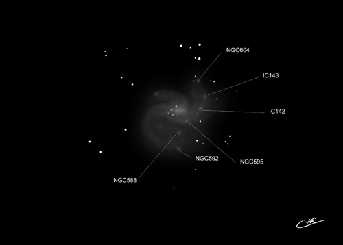 M33