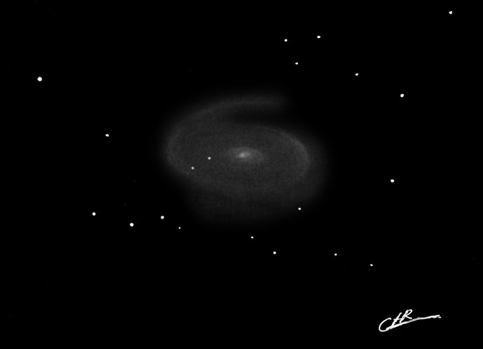 M81