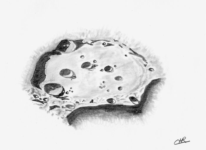 Mondkrater Clavius