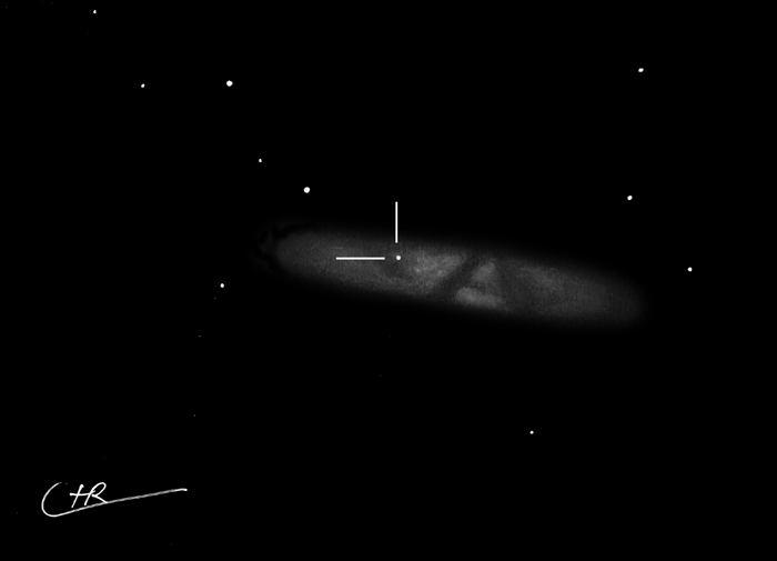 M82 mit SN2014J