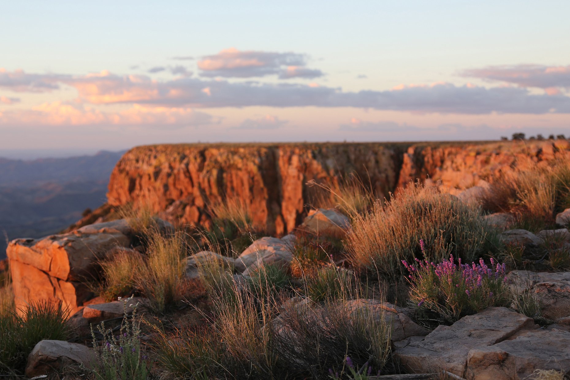 Gamsberg