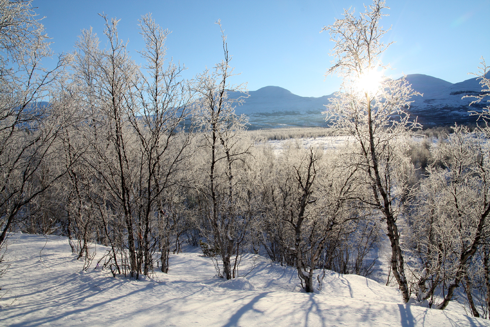 Kungsleden