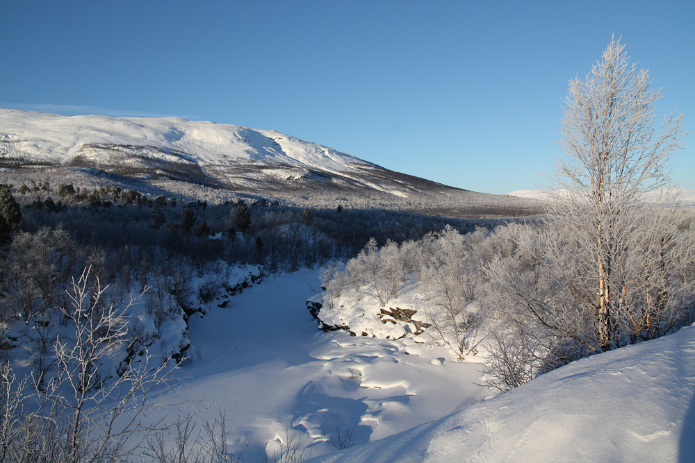 Kungsleden