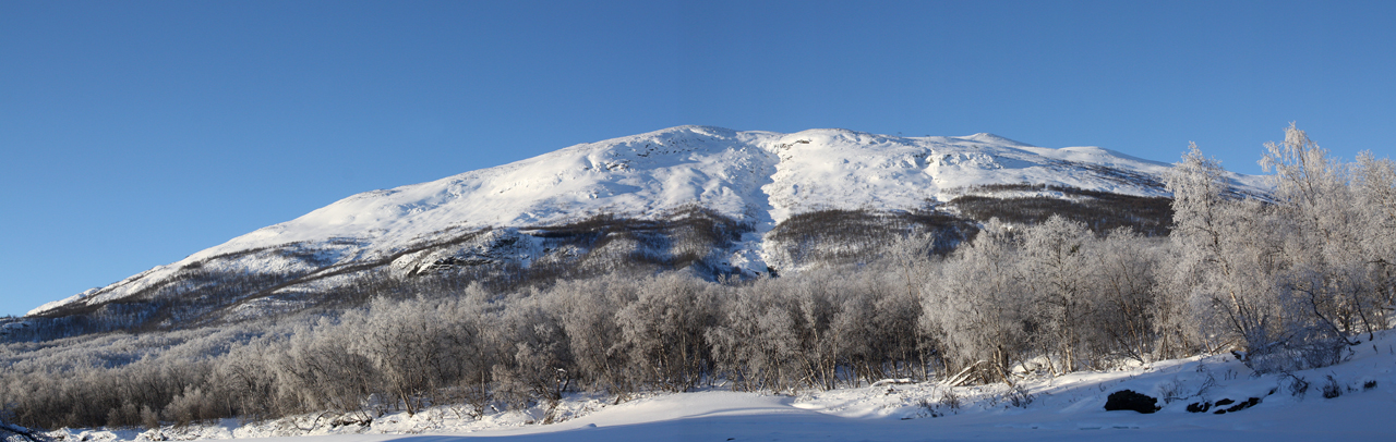 Kungsleden