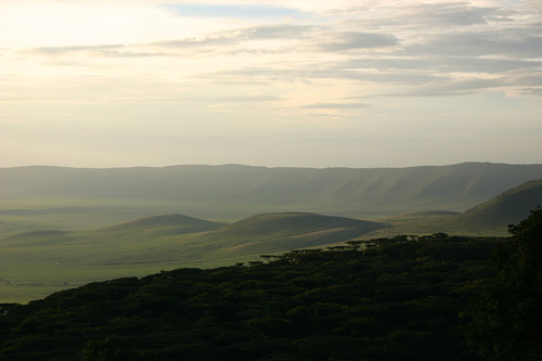 ngorongoro