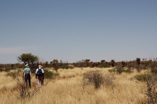 kalahari