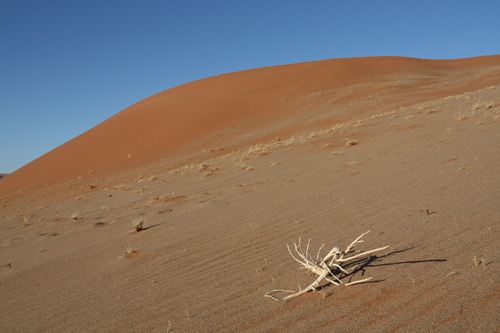 namib