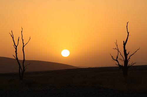 namib