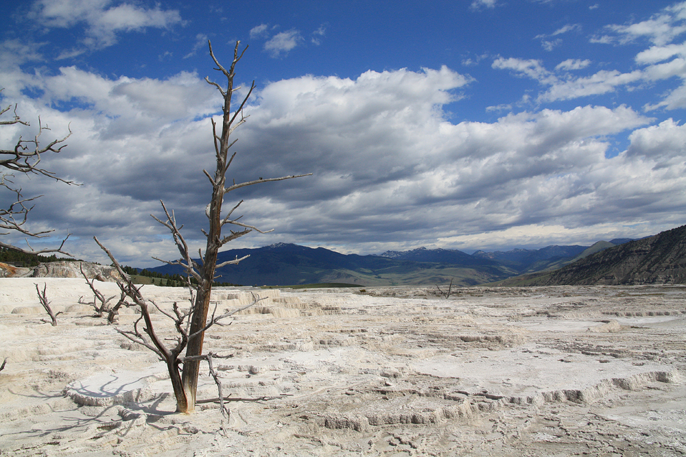 mammoth hot springs