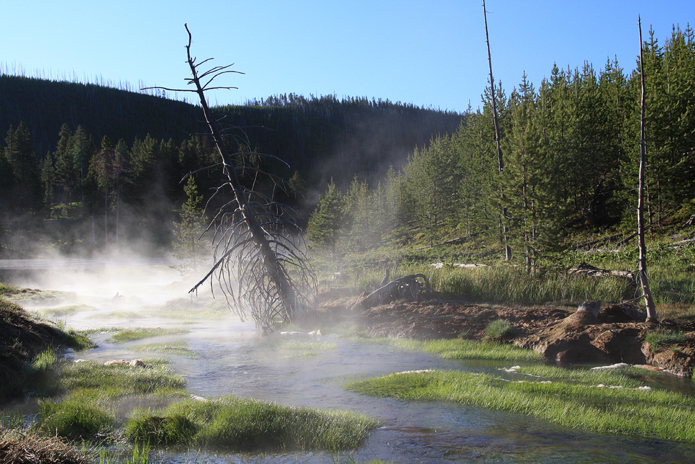 yellowstone