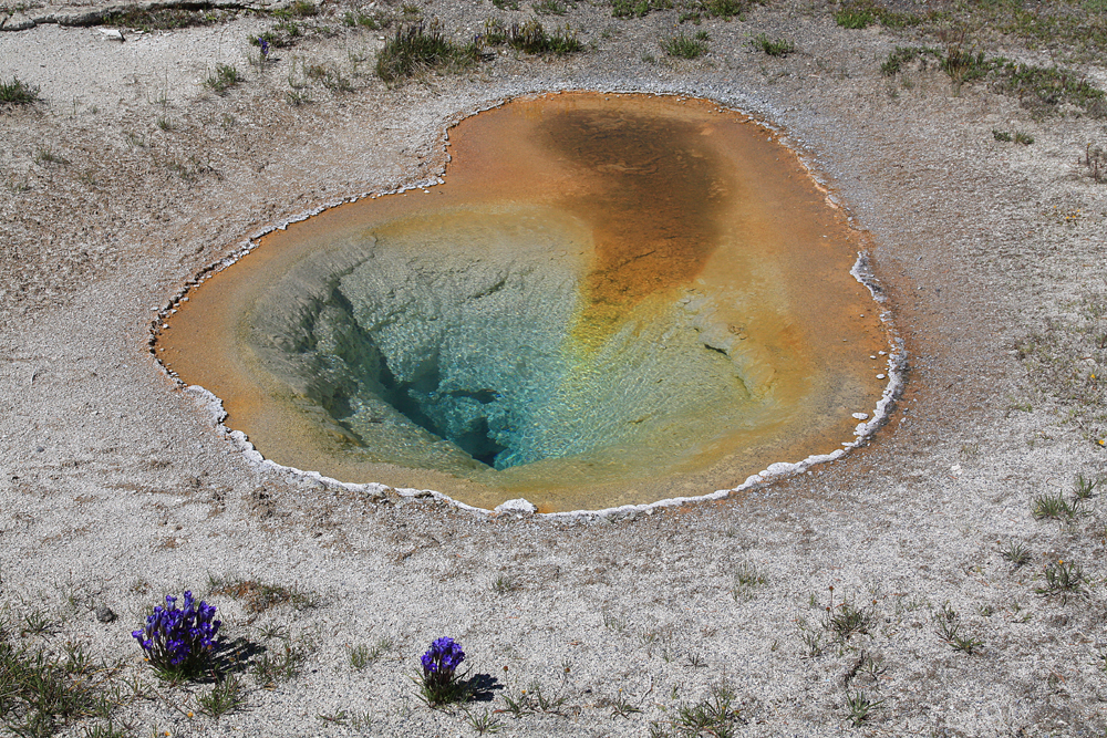 heiße quelle, yellowstone