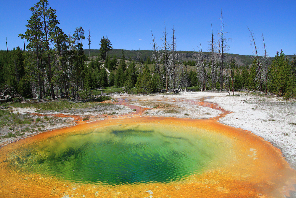 Morning glory pool, yellowstone