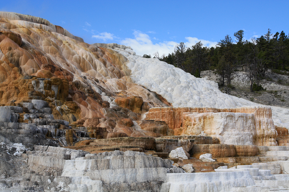 Mammoth Hot Springs