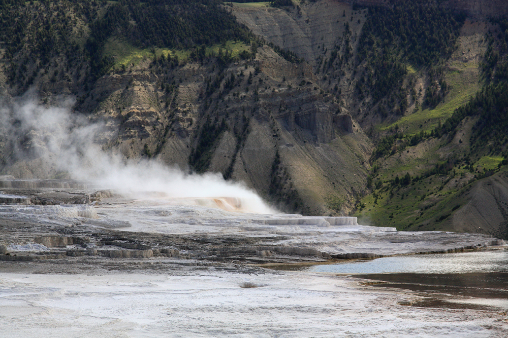 Mammoth Hot Springs