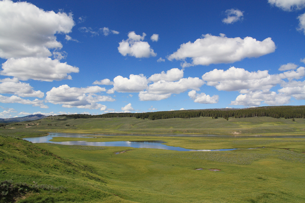 Lamar Valley - Yellowstone